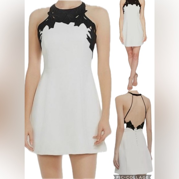 Halston Heritage Dresses & Skirts - Halston Heritage White Embroidered Colorblock Mini Dress